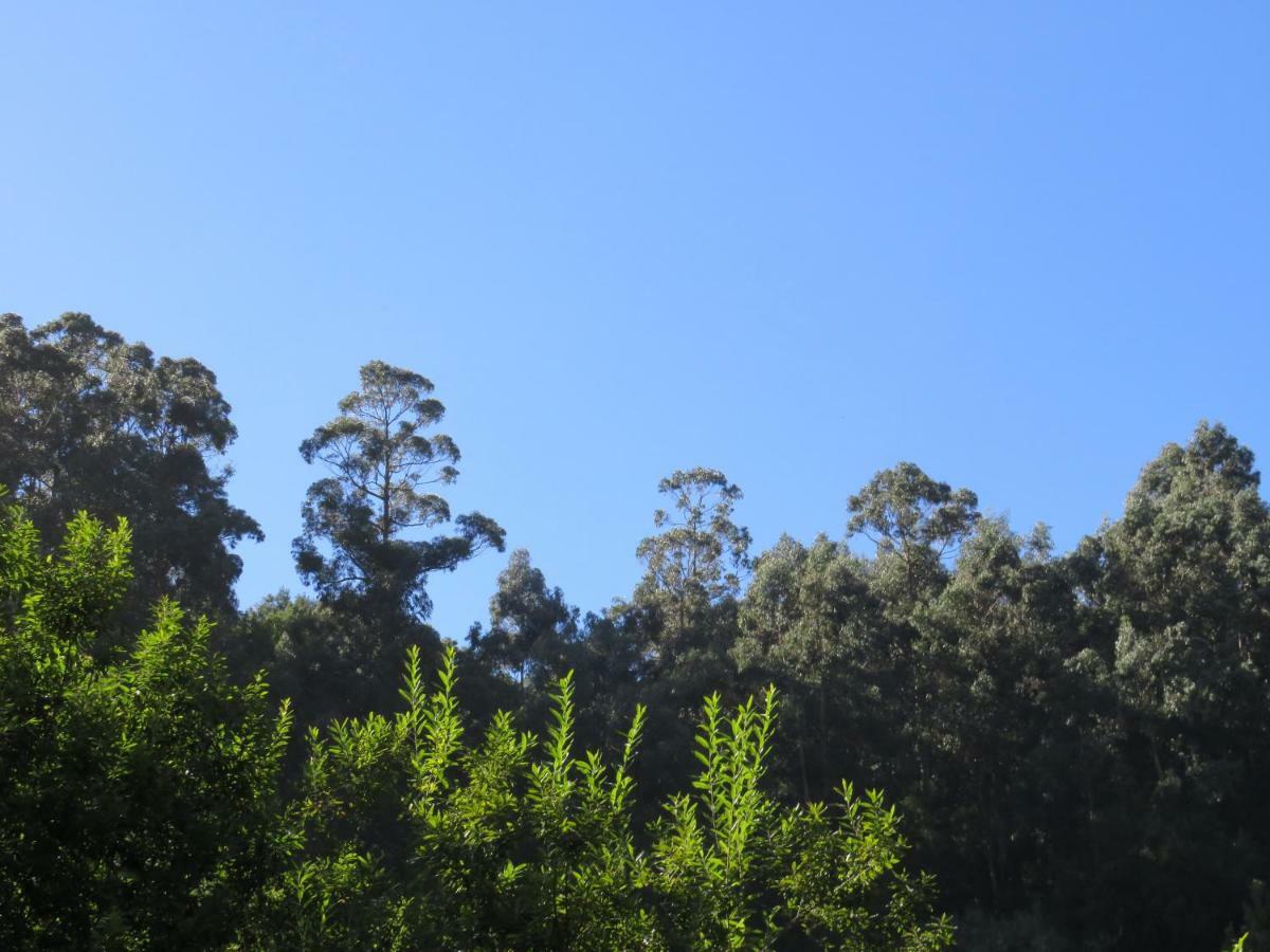 Solar Do Carvalho Otel São Vicente Dış mekan fotoğraf